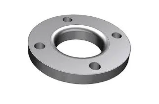 SS 317L Forged Flanges